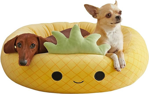 25% off Dog Beds
