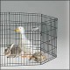 Not just for dogs–the E-Coated Ex-pen is great for small animal containment too!