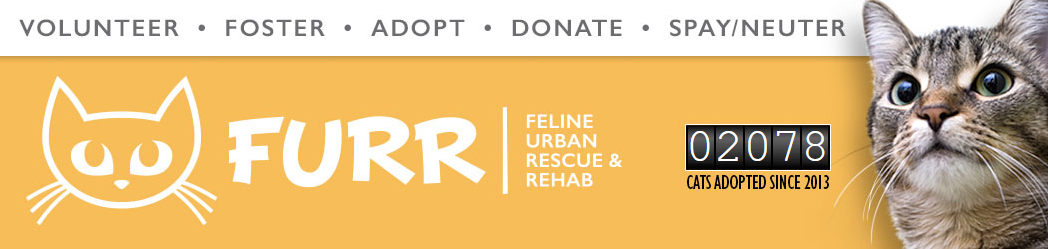FURR Rescue Event on 9/14/19